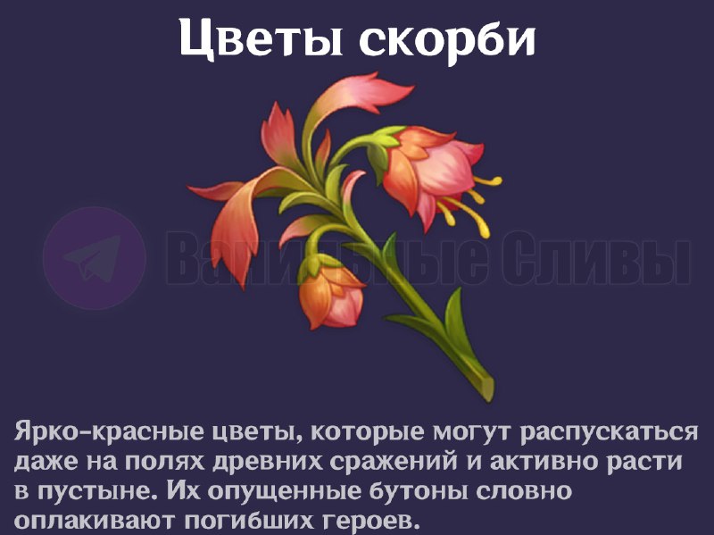Новые материалы из 3.6
